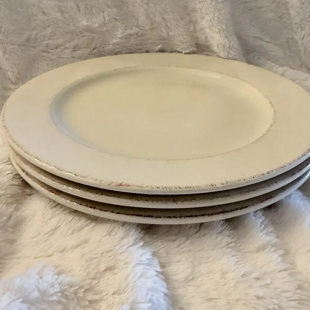 (3) Pier 1 Toscana Ivory Handpainted Italy Dinner Plates 11